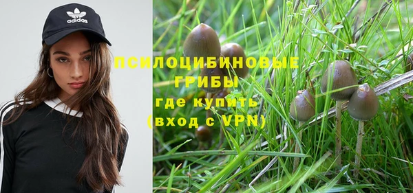 экстази Арсеньев