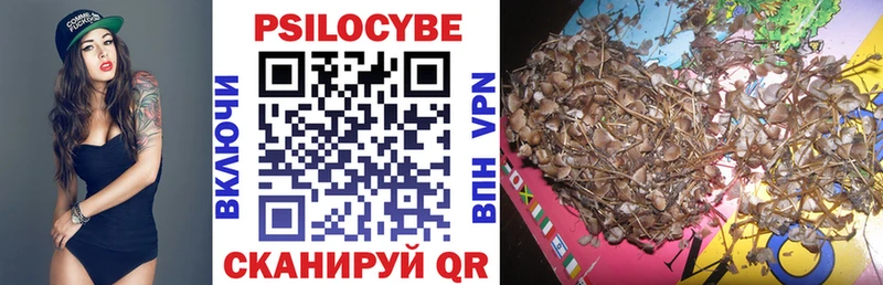 наркотики  Бийск  Псилоцибиновые грибы Cubensis 